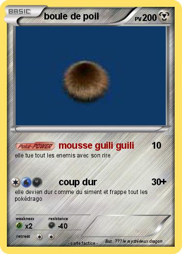 Pokemon boule de poil
