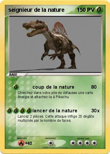 Pokemon seignieur de la nature