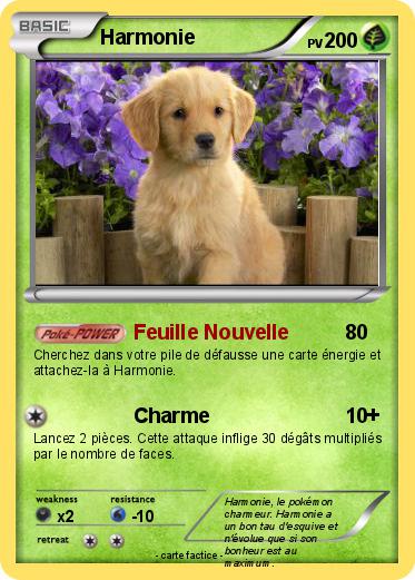 Pokemon Harmonie