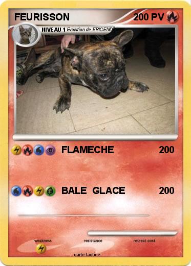 Pokemon FEURISSON