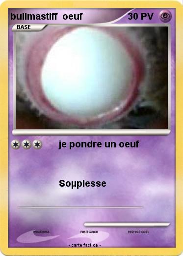 Pokemon bullmastiff  oeuf