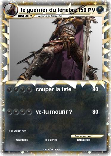 Pokemon le guerrier du tenebre