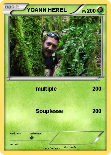 Pokemon YOANN HEREL