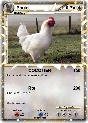 Pokemon Poulet