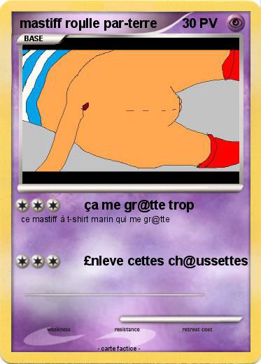 Pokemon mastiff roµlle par-terre