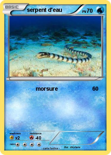 Pokemon serpent d'eau