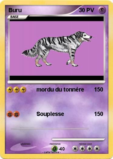 Pokemon Buru