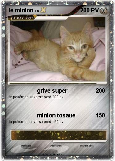 Pokemon le minion