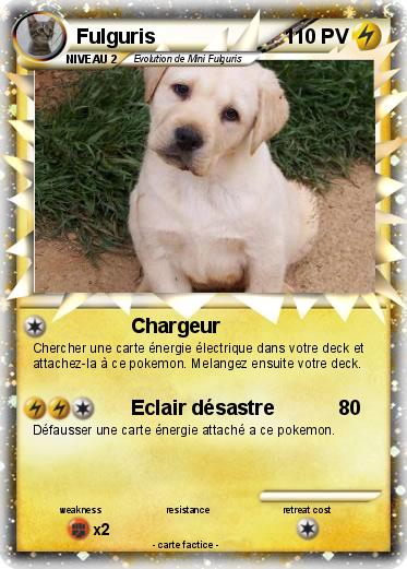 Pokemon Fulguris