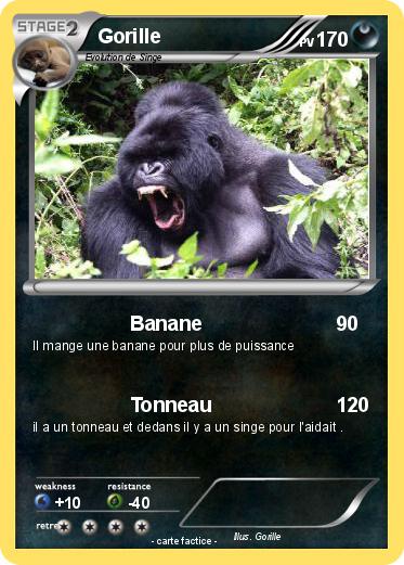 Pokemon Gorille