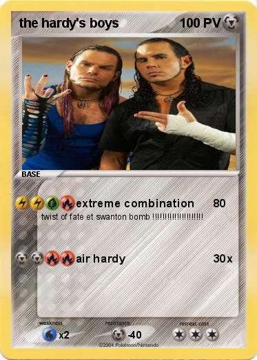 Pokemon the hardy's boys
