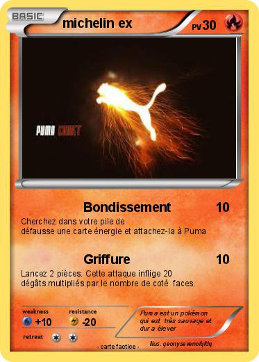 Pokemon michelin ex