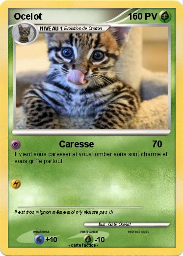 Pokemon Ocelot