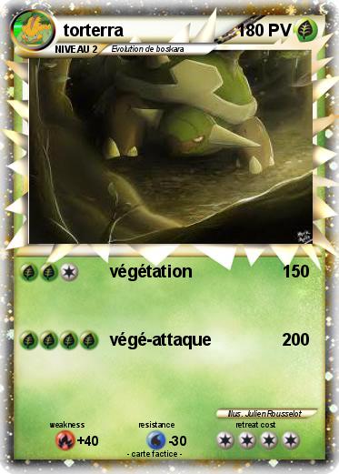 Pokemon torterra