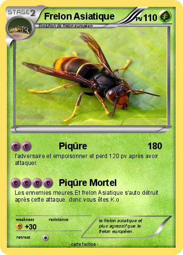 Pokemon Frelon Asiatique