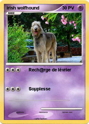 Pokemon irish wolfhound