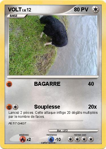 Pokemon VOLT