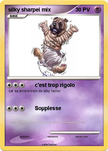 Pokemon silky sharpei mix