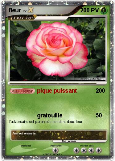 Pokemon fleur