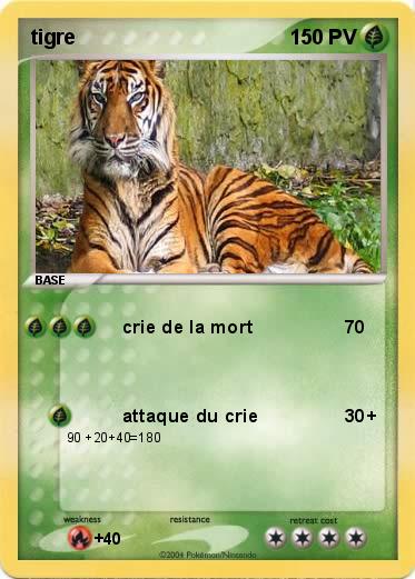 Pokemon tigre