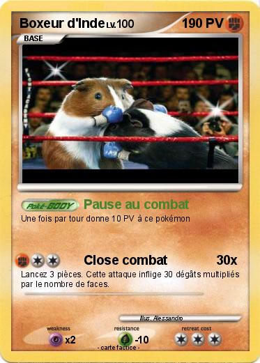 Pokemon Boxeur d'Inde