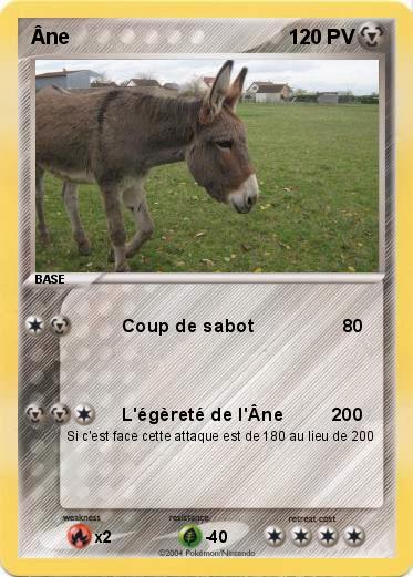 Pokemon Âne