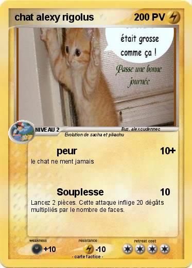 Pokemon chat alexy rigolus