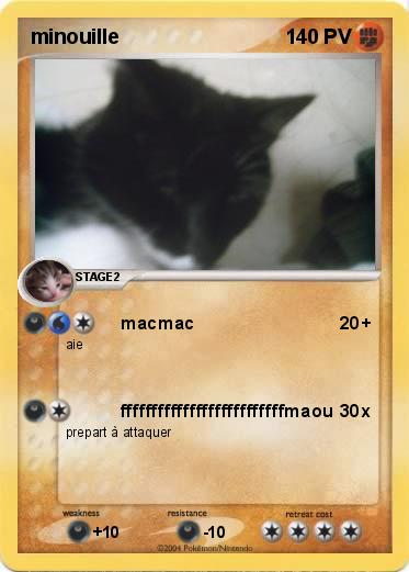 Pokemon minouille