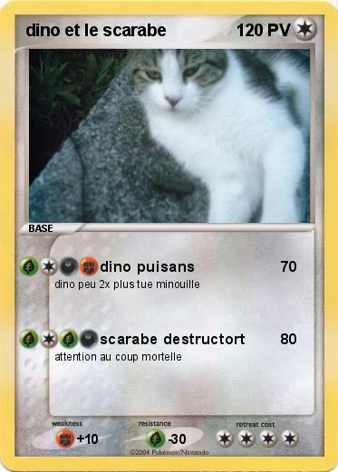 Pokemon dino et le scarabe