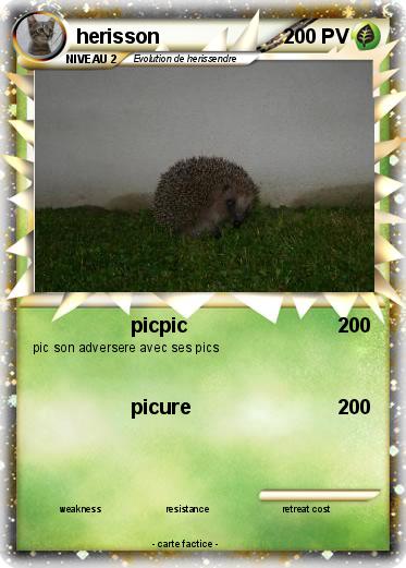 Pokemon herisson