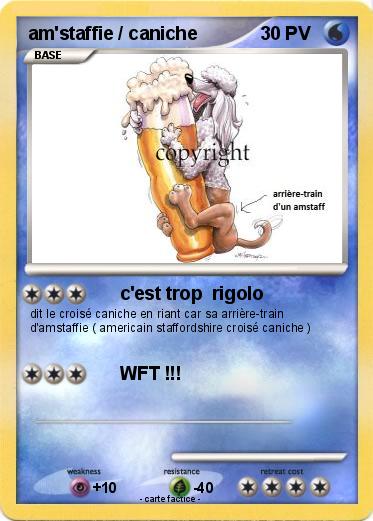 Pokemon am'staffie / caniche