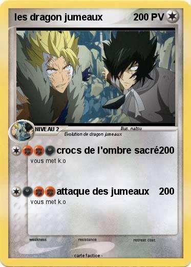 Pokemon les dragon jumeaux