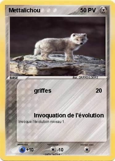 Pokemon Mettalichou