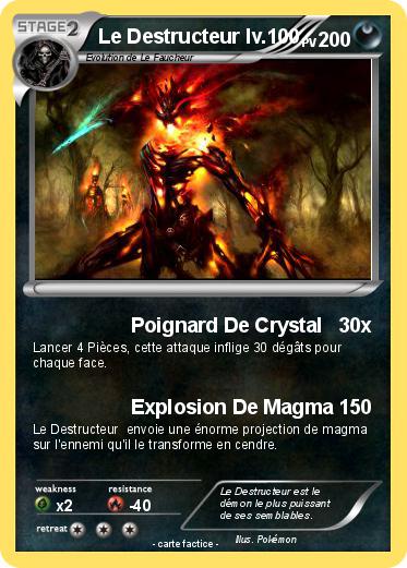 Pokemon Le Destructeur lv.100