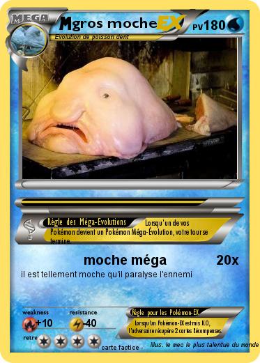 Pokemon gros moche