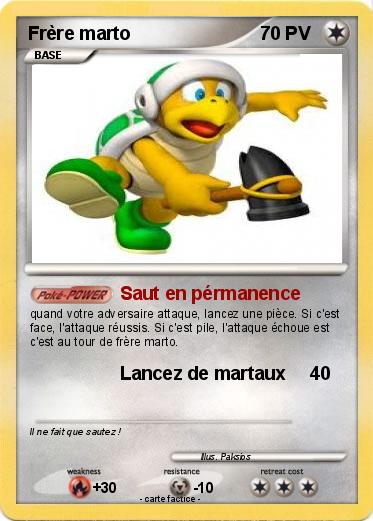 Pokemon Frère marto