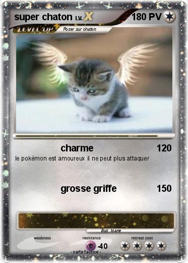 Pokemon super chaton