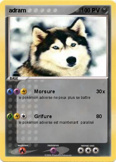 Pokemon adram 