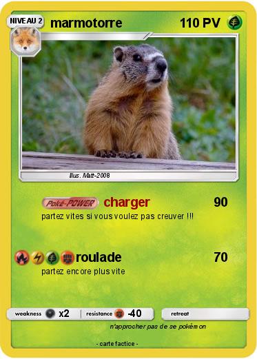 Pokemon marmotorre
