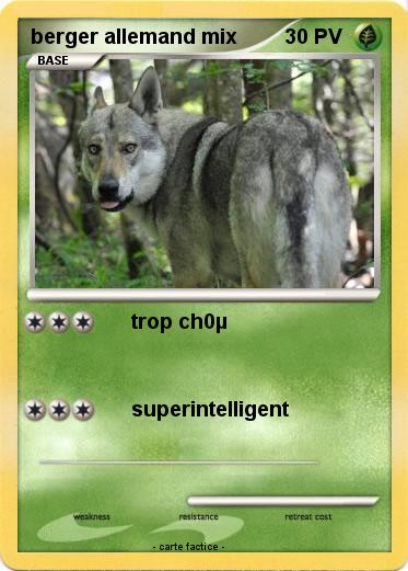 Pokemon berger allemand mix