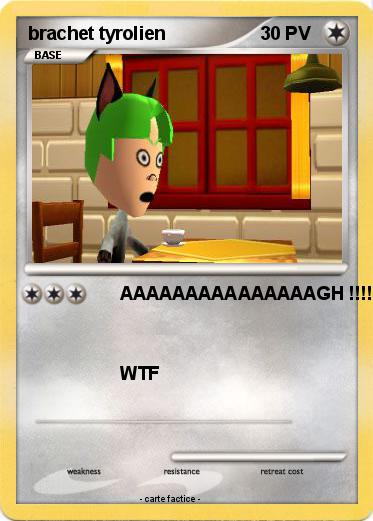 Pokemon brachet tyrolien