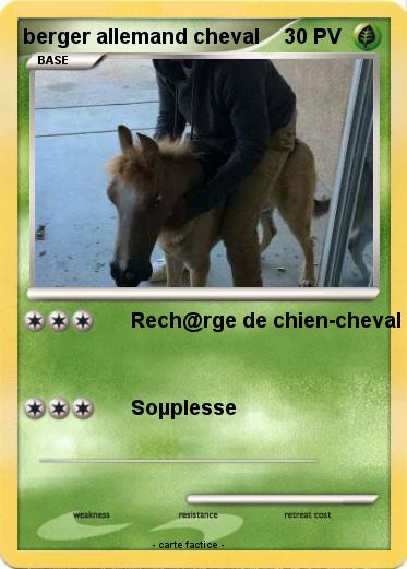 Pokemon berger allemand cheval