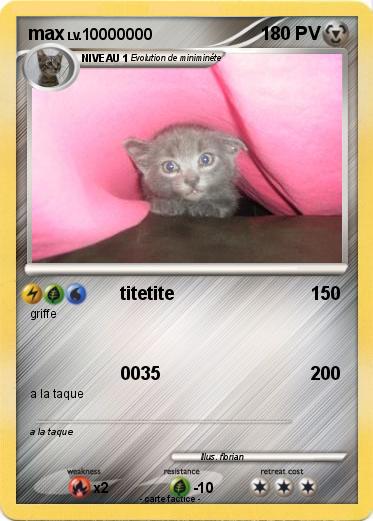 Pokemon max