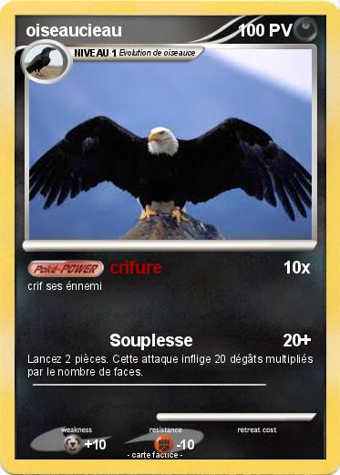 Pokemon oiseaucieau