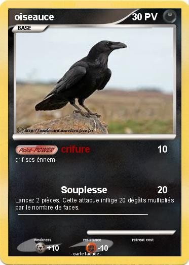Pokemon oiseauce