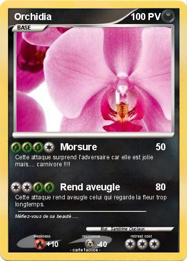 Pokemon Orchidia