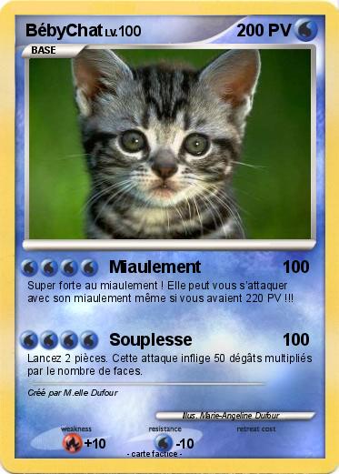 Pokemon BébyChat