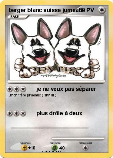 Pokemon berger blanc suisse jumeaux
