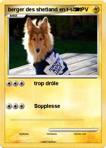 Pokemon berger des shetland en t-shirt