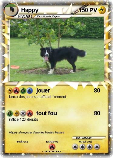Pokemon Happy